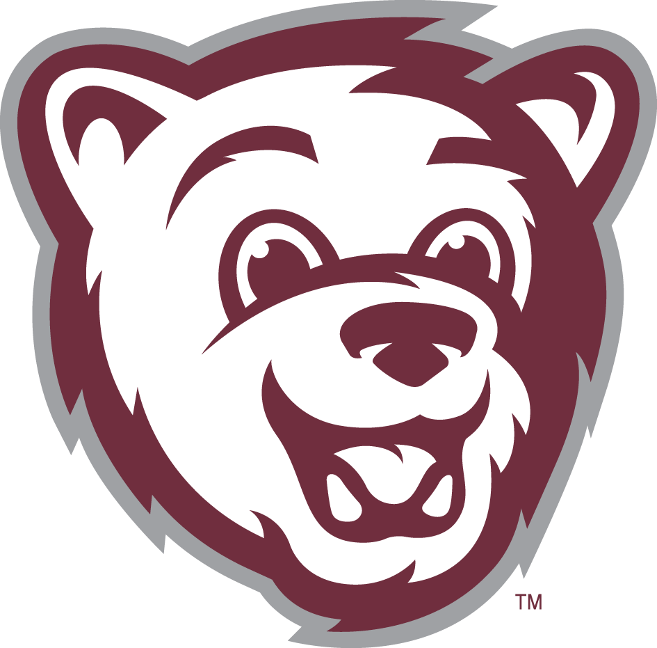 Montana Grizzlies 2010-Pres Mascot Logo v2 iron on transfers for T-shirts